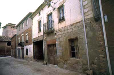 Imagen de Grisaleña